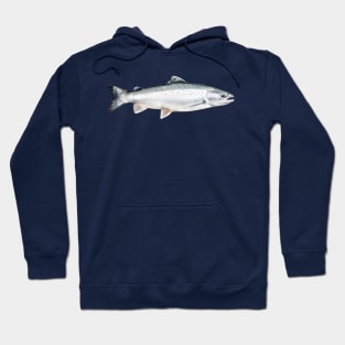 Atlantic Salmon Hoodie